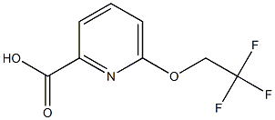 6-(2,2,2-Trifluoroethoxy)pyridine-2-carboxylic acid