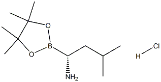 (R)-3-Methyl-1-(4,4,5,5-tetraMethyl-1,3,2-dioxaborolan-2-yl)butan-1-aMine hydrochloride